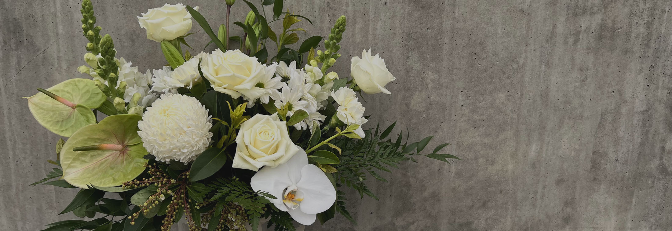 Homepage Banner | Botanica Flowers and Plants Yarrawonga