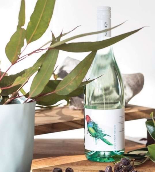 Squires Pinot Grigio