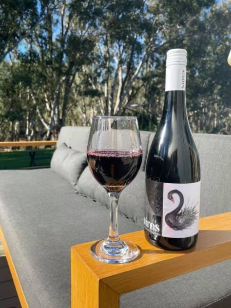 Squires Shiraz